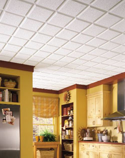 Armstrong HomeStyle Ceiling Panels