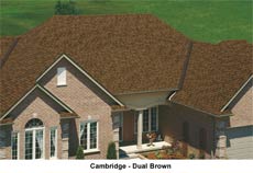 Cambridge - Dual Brown